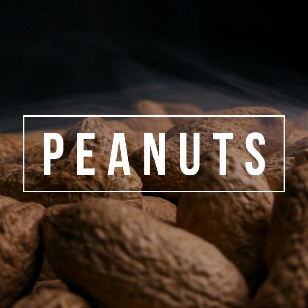 CACAHUETES PEANUTS