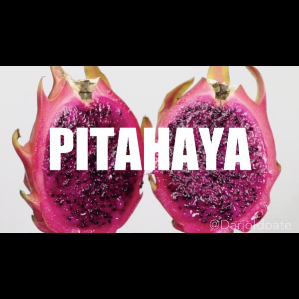 PITAHAYA TABLETOP